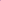 FERRIONI PINK TERRIER FOR HER EDT 100ML